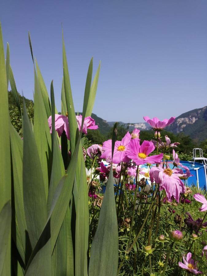 Au Chalet D'Anna Saint-Rambert-en-Bugey Exterior photo