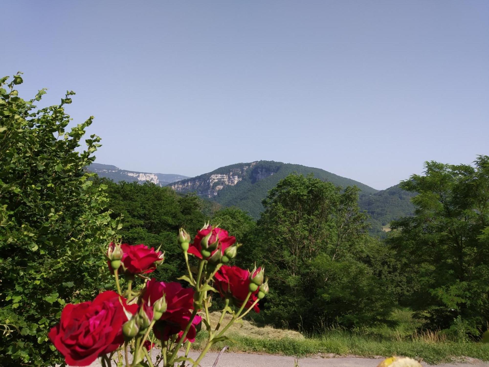 Au Chalet D'Anna Saint-Rambert-en-Bugey Exterior photo